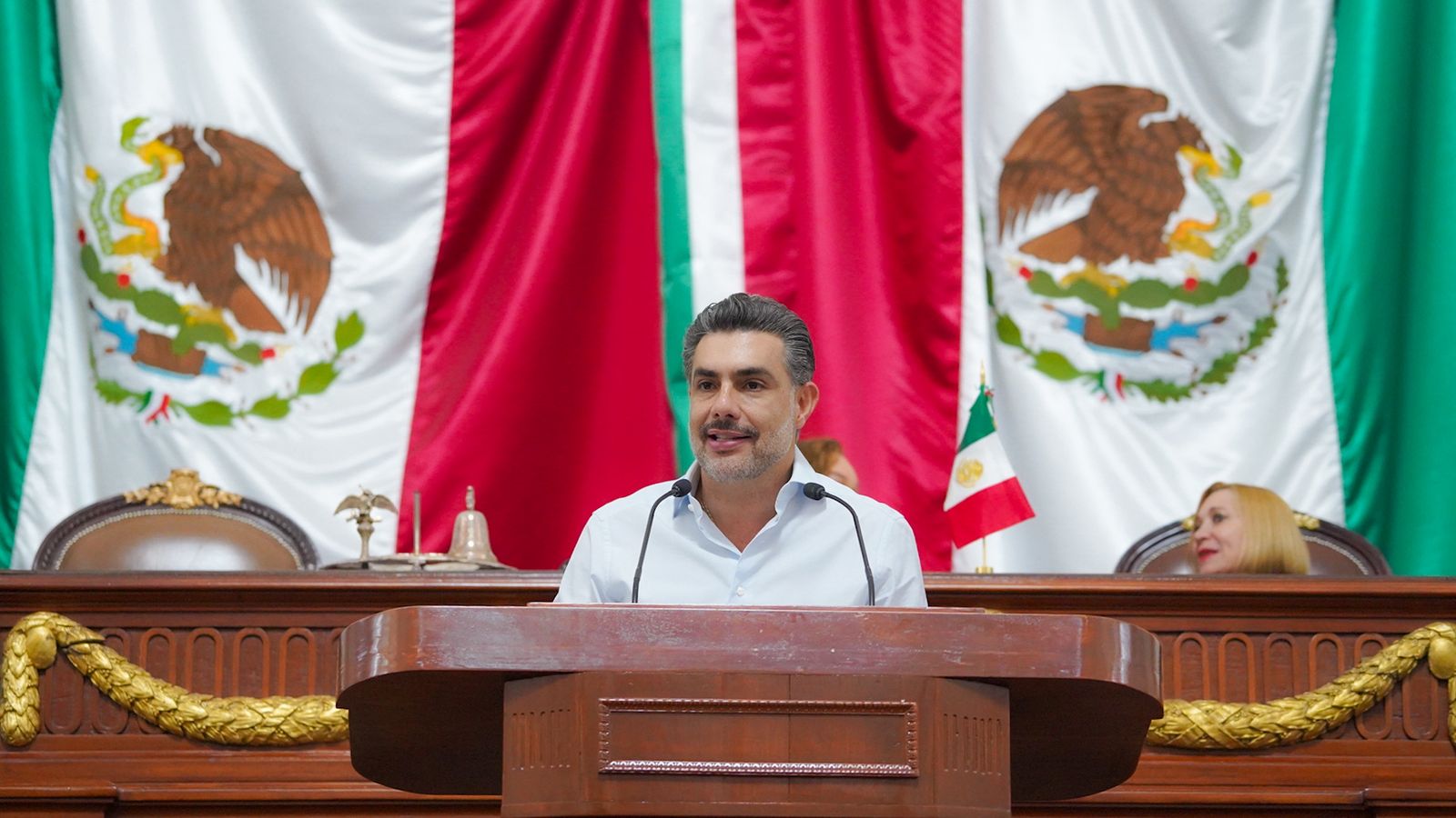Jesús Sesma Suárez, secretario general del PVEM CDMX expresó su preocupación por la decisión tomada en el Congreso de Hidalgo, donde fue aprobada una consulta popular sobre las corridas de toros, pese a que la Constitución mexicana ya prohíbe el maltrato animal. FOTO: Especial