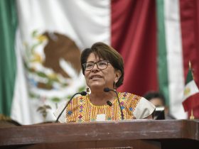 La diputada local de Morena, Martha Ávila, celebró la aprobación de la reforma Constitucional que va a impedir que un gobierno extranjero pueda intervenir en los procesos electorales de México y altere la voluntad popular. FOTO: Especial